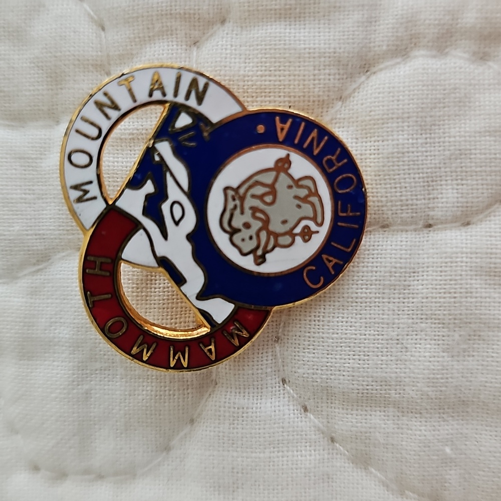 Vintage USA Souvenir Ski Pins - Picture 2 of 10